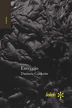 portada Entresijo (in Spanish)