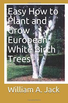 portada Easy how to Plant and Grow European White Birch Trees (Trees for Home and Garden Landscaping) (in English)