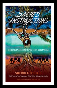 portada Sacred Instructions: Indigenous Wisdom for Living Spirit-Based Change (en Inglés)