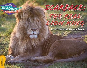 portada Cambridge Reading Adventures Scarface: The Real Lion King Gold Band (en Inglés)