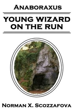 portada Young Wizard on the Run (en Inglés)