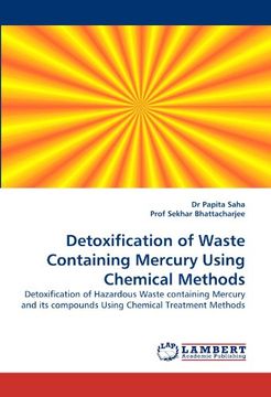 portada Detoxification of Waste Containing Mercury Using Chemical Methods