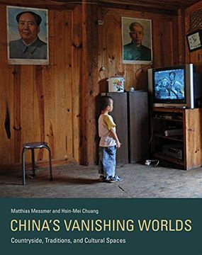 portada China's Vanishing Worlds: Countryside, Traditions, and Cultural Spaces (The mit Press) 
