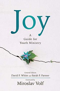 portada Joy: A Guide for Youth Ministry (en Inglés)