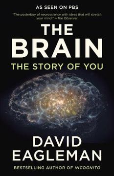The Brain: The Story of You (en Inglés)