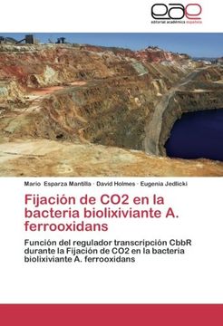 portada Fijación de CO2 en la bacteria biolixiviante A. ferrooxidans: Función del regulador transcripción CbbR durante la Fijación de CO2 en la bacteria biolixiviante A. ferrooxidans