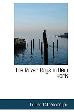 portada the rover boys in new york