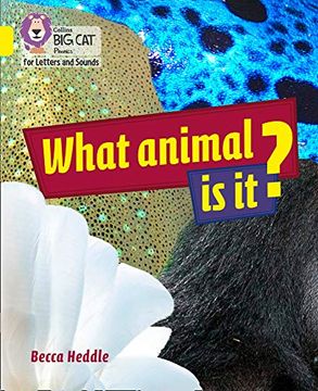 portada Collins big cat Phonics for Letters and Sounds – What Animal is It? Band 3 (in English)