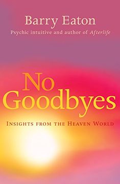 portada No Goodbyes: Insights From the Heaven World (en Inglés)