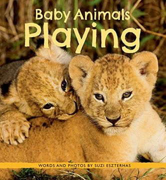portada Baby Animals Playing