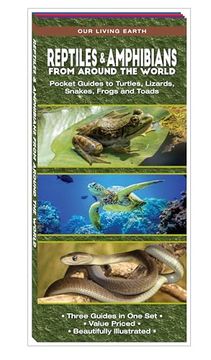 portada Reptiles & Amphibians From Around the World: Pocket Guides to Turtles, Lizards, Snakes, Frogs and Toads (Wildlife and Nature Identification) (en Inglés)