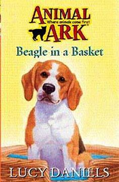 portada Beagle in the Basket (Animal ark Series #56) (en Inglés)
