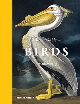 portada Remarkable Birds