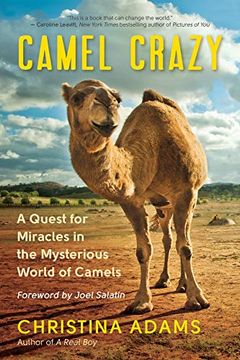 portada Camel Crazy: A Quest for Miracles in the Mysterious World of Camels 