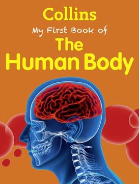portada My First Book of the Human Body (en Inglés)