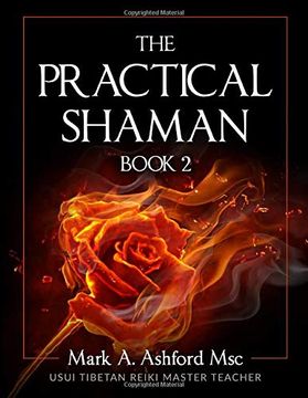 portada The Practical Shaman Book 2 (en Inglés)