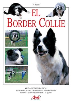 portada El border collie