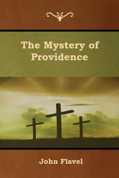 portada The Mystery of Providence