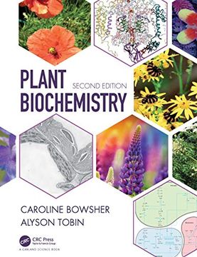 portada Plant Biochemistry (en Inglés)