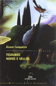 Tesouros novos e vellos (Biblioteca Álvaro Cunqueiro) (en Gallego)