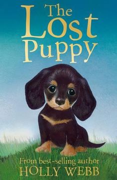 portada The Lost Puppy (Holly Webb Animal Stories) (en Inglés)