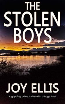 portada The Stolen Boys (in English)