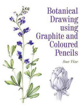 portada Botanical Drawing Using Graphite and Coloured Pencils (en Inglés)