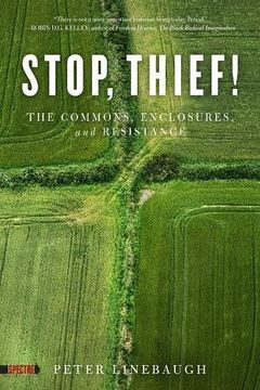 portada Stop, Thief! The Commons, Enclosures, and Resistance (Spectre) (en Inglés)