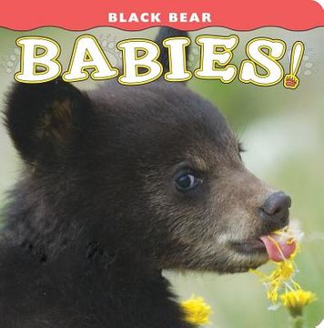 portada black bear babies! (en Inglés)