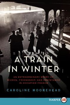 portada a train in winter (en Inglés)