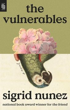 portada The Vulnerables (in English)
