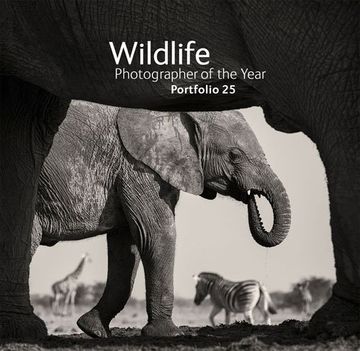 portada Wildlife Photographer of the Year: Portfolio 25