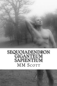 portada Sequoiadendron Giganteum Sapientium
