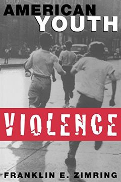 portada American Youth Violence (en Inglés)