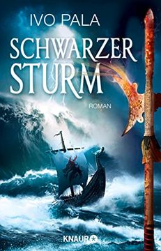 portada Schwarzer Sturm: Roman (en Alemán)