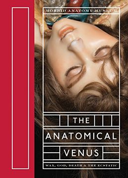 The Anatomical Venus: Wax, God, Death & the Ecstatic 