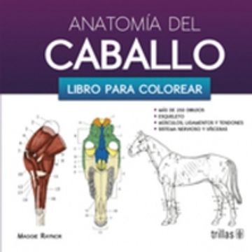 portada Anatomia del Caballo. Libro Para Colorear