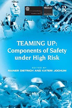 portada Teaming Up: Components of Safety Under High Risk (en Inglés)