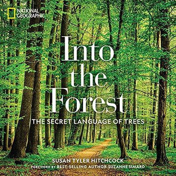 portada Into the Forest: The Secret Language of Trees (en Inglés)