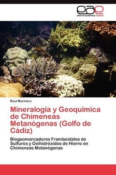 portada mineralog a y geoqu mica de chimeneas metan genas (golfo de c diz) (in Spanish)