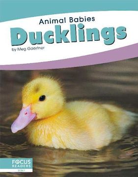 portada Ducklings (Animal Babies) 