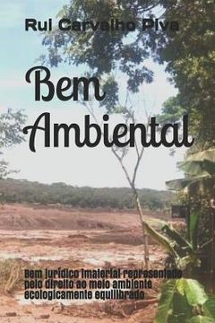 portada Bem Ambiental: Bem Jurídico Imaterial Representado Pelo Direito Ao Meio Ambiente Ecologicamente Equilibrado (en Portugués)