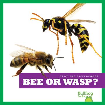portada Bee or Wasp? (en Inglés)