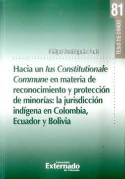 portada HACIA UN IUS CONSTITUTIONALE COMMUNE EN MATERIA DE RECONOCIMIENTO Y PROTECCIÓN DE MINORÍAS