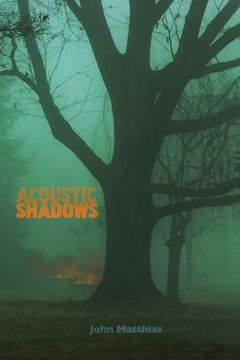 portada Acoustic Shadows (en Inglés)