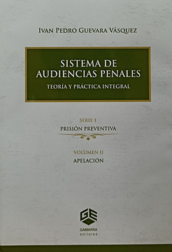 portada Sistemas de audiencias penales teoría y práctica integral (in Spanish)