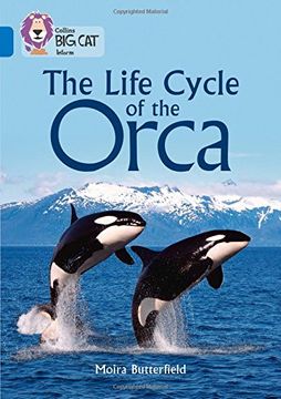 portada Collins Big Cat - The Life Cycle of the Orca: Band 16/Sapphire (in English)
