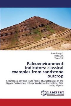 portada Paleoenvironment indicators: classical examples from sandstone outcrop