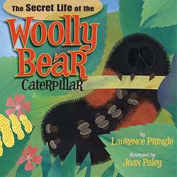 portada The Secret Life of the Woolly Bear Caterpillar (in English)