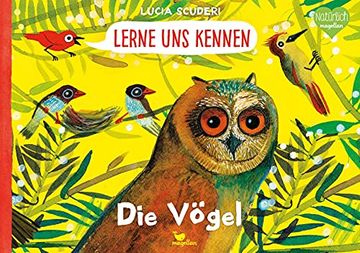 portada Lerne uns Kennen - die Vögel (en Alemán)